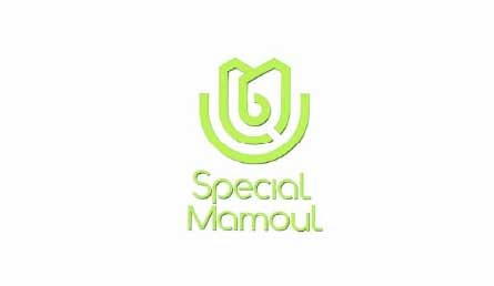 المعمول المميز — Special Mamoul